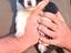 Immagine 1