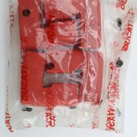 cappuccio morsetto polo positivo