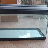 Acquario per pesci in vetro