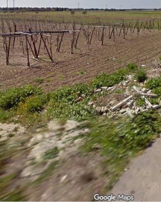 Vendita vigneto