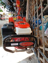 Motocoltivatore Goldoni Twist 6