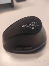 Mouse verticale Zelotes