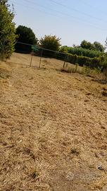 Terreno agricolo