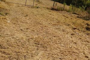 Terreno agricolo