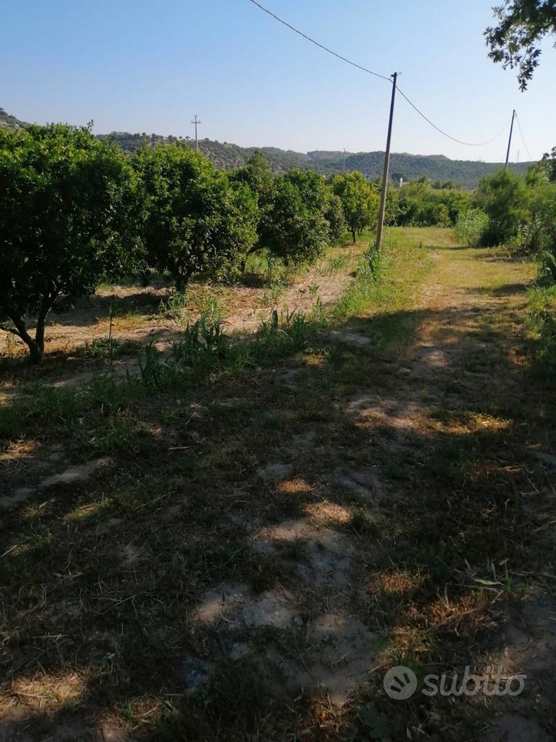 Terreno Agricolo Squillace Lido (CZ) - Vista 2