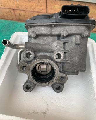 EGR X SUBARU Diesel
