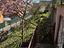 Immagine 28