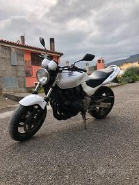 Honda Hornet 600