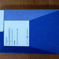 Capire la grammatica 