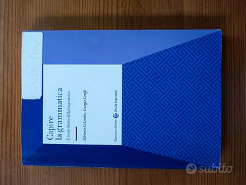 Capire la grammatica 