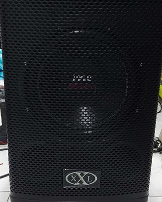 coppia di subwoofer  da 12 pollici vuoti
