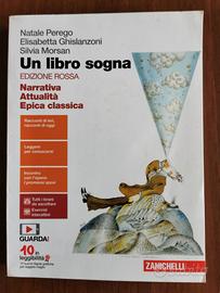 Un libro sogna