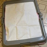 Porta telini X cuccioli