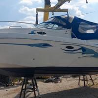 Barca Cruiser Lema Gold + Volvo 4.3 Gxi