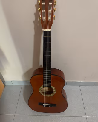 Chitarra Dam