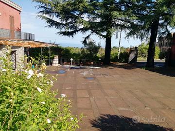 All'insegna del divertimento