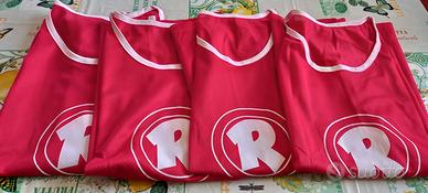 Pettorine calcio Ringo