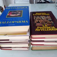 lotto 10 libri romanzi di Salvalaggio e Bevilacqua
