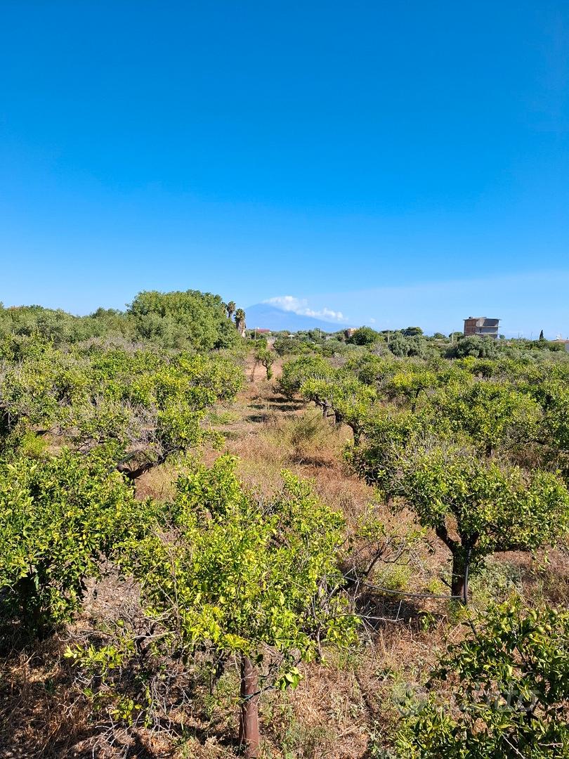 Terreno agricolo - Altro