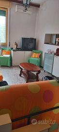 Vendita appartamento