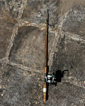 Canna da pesca con mulinello