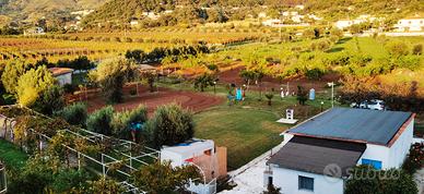 Casa Vacanza Belvedere Marittimo