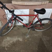 bicicletta mountain bike