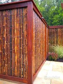 Canne di bambù - bambu - bamboo