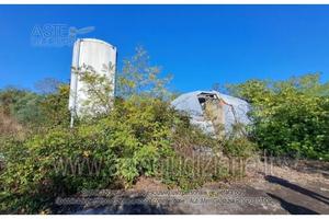 Azienda Agricola Osimo [A4352224]