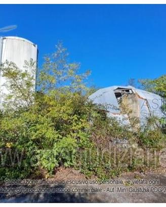 Azienda Agricola Osimo [A4352224]