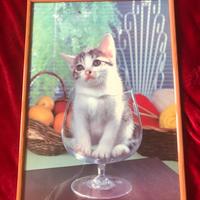 Quadro con gatto