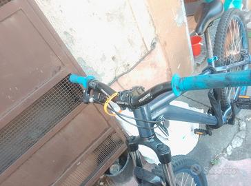 Mountain bike 