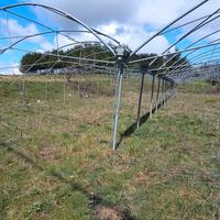 Due serre 40 x 18 m complessive