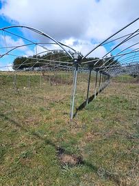 Due serre 40 x 18 m complessive