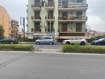 Due Obelischi Bottega Alta Visibilità