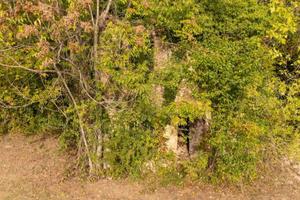 Rustico / Casale di 45 m² a Poggio Moiano