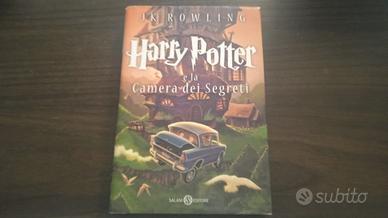 libro hayy potter e la camera dei segreti salani e