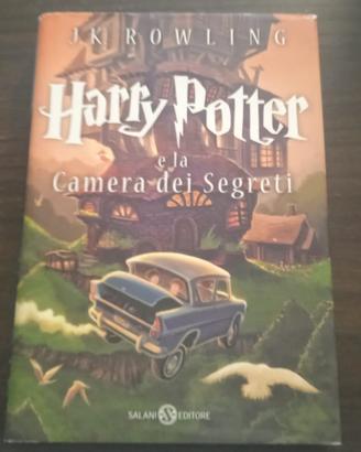 libro hayy potter e la camera dei segreti salani e