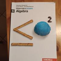 libro di testo algebra 