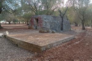 Terreno edificabile a San Michele Salentino