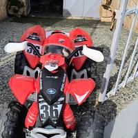 quad elettrico 12 v 