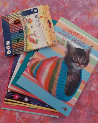 set nuovo 6 quaderni, colori Staedtler antirottura