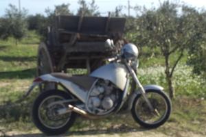 Aprilia Moto' 6.5 - 1995