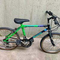 Bici bimbo ragno