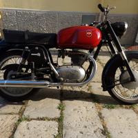 Gilera 300 B - Anni 60