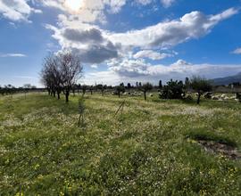 Lotto di terreno agricolo