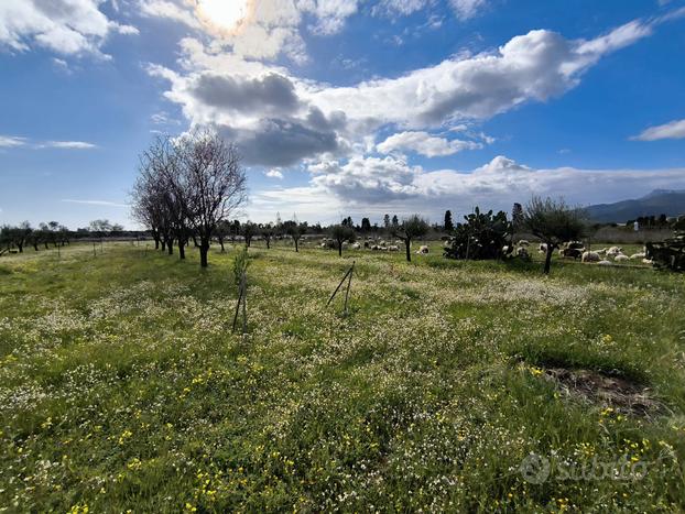 Lotto di terreno agricolo