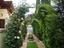 Immagine 11