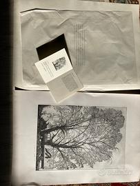 Acquaforte Federica Galli