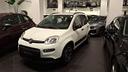 fiat-panda-1-0-firefly-s-s-hybrid-city-life